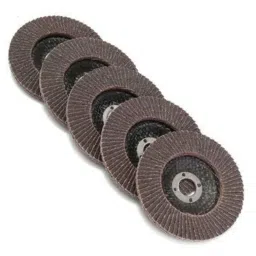 H9 10 Pcs 100mm Professional Flap Discs Set for Angle Grinder image 3