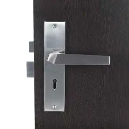 Handle Waala Sana 8 inch Stainless Steel Silver Ky Plate Mortise Door Lock Set-image-43