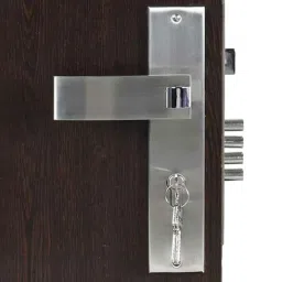 Homexpert Vespa 10 inch 60mm Stainless Steel Silver Cylindrical Plate Both Side Key Mortise Door Lock Set-picture-47