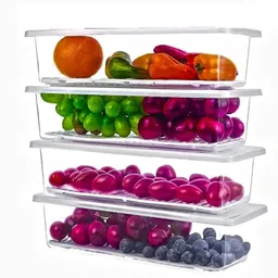 webdealz Plastic Storage Baskets for Vegetables, Fruits, Fish,Egg etc with Airtight Lid X4.131 Storage Basket-picture-42