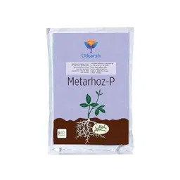 Utkarsh Metarhoz-P 1kg Metarhizium Anisopliae for Plants, Crops &a; Home Gardening (Pack of 3) image 2