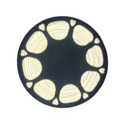 LumoGen Cool White LED Rope Light, Length: 25 m-picture-28