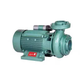 EKKI DC10PH 1HP Single Phase Centrifugal Monoblock Pump-picture-12