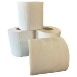 Whype 2 Ply 250 Pulls Ultra Soft Toilet Tissue Roll, TROLL250 (Pack of 80) image 2