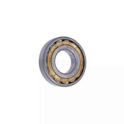 NRB 20x47x18mm Cylindrical Roller Bearing, RNU2204 (Pack of 5) image 2