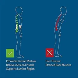 Kudize Lumbar Sacral Double Elastic Beige Back Support Brace, Size: XXXL image 2