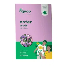 Ugaoo 1g Flower Aster Mix Seeds, NUFSO009-image-5