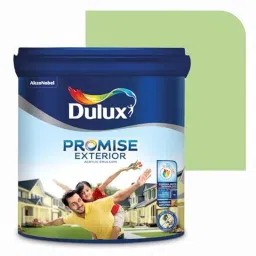Dulux Promise 4 Litre Spring Fest Gloss Finish Exterior Acrylic Emulsion Paint, B9D594-4-picture-28
