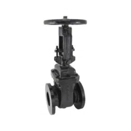 Zoloto 200mm Cast Iron PN 1.6 Flanged Sluice Valve with Rising Steam, 1079D-picture-19