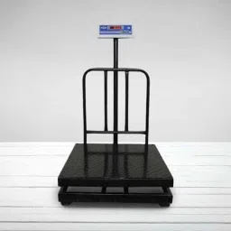 Metis 300kg and 20g Accuracy Stainless Steel Platform Weighing Machine with 1 Year Warranty image 3