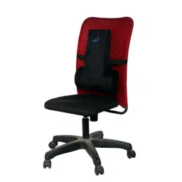 Salo Orthotics Polyurethane T Shaped Foam Spine Lumbar Back Rest, 409, Size: Universal-picture-37