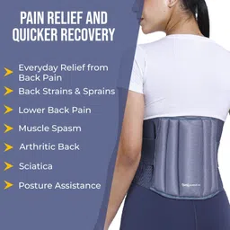 prourban LS GREY Back / Lumbar Support image 4
