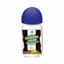 Rooted 250ml Premium Seaweed Liquid Concentrate Biostimulant for Plant &a; Trees-picture-45