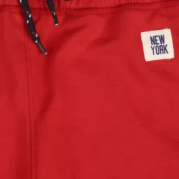 Alan Jones Boys Red & Grey Solid Joggers image 2
