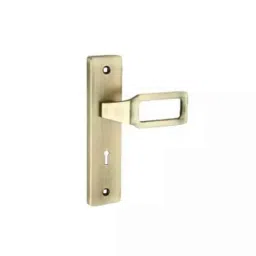 Bonus Compact 60mm Mild Steel &a; Zinc Alloy Brushed Steel Finish Leo Mortice Lock Set, Door Thickness: 19-38 mm-picture-18
