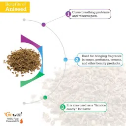 GoWoo 2 Pcs 100ml Natural Aloe Vera Carrier Oil &a; 10ml Aniseed Aroma Oil Set, GWOC89-P2+P163 image 4