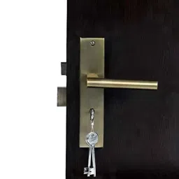 Voltizi 8 inch ‎Stainless Steel 304 Matt Antique Brass Finish Heavy Duty Mortise Door Lock, MG301-picture-43