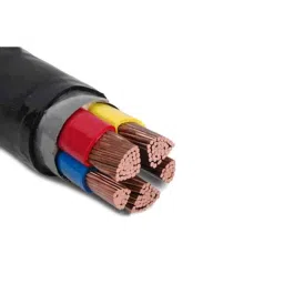 Havells 10 Sqmm 4 Core Unarmoured Low Tension Power Cable, A2XY, Length: 100 m-picture-30