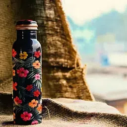 Healthchoice Watermelon 1000ml Copper Bottle (Pack of 3) image 2