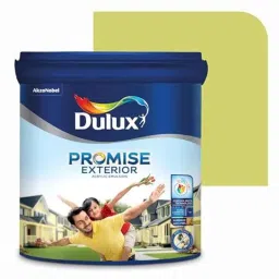 Dulux Promise 10 Litre Vertigo Gloss Finish Exterior Acrylic Emulsion Paint, D2D36F-10-picture-29