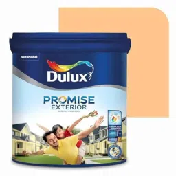 Dulux Promise 20 Litre Apricot Nectar Gloss Finish Exterior Acrylic Emulsion Paint, FEC68D_20L-picture-25
