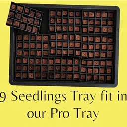 farm genie Seedling Tray | Germination Tray | Seedling Starter | 15 cells | Unbreakable Plant Container Set image 4