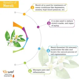 GoWoo 2 Pcs 10ml Natural Therapeutic Grade Cold Pressed Neroli Aroma Oil &a; 100ml Marula Carrier Oil Set, GWOC1012-P37+P176 image 4