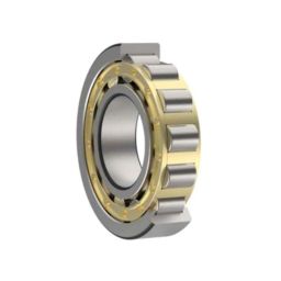 ZKL 35x100x25mm Single Row Cylindrical Roller Bearing, NJ407 C3 (Pack of 20)-picture-10