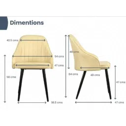 Modern India Seating Cream Velvet Dining Chair, MISPC24 image 2