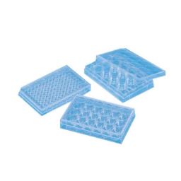 Tarsons 50 Pcs 12 Wells Polystyrene Sterile Tissue Culture Plate, 980020-picture-9