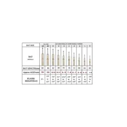 Just Rider Blue Cricket Bat for Men with Arm Sleeves, Head &a; Wrist Band Combo image 2