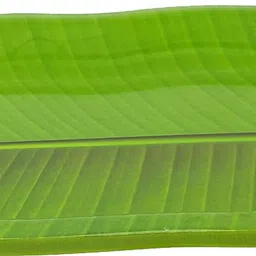 litware Melamine Banana leaf Serving tray snakes (Size-14" X 8.75" Inch) kela patta Tray image 3