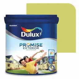 Dulux Promise 4 Litre Hang Time &a; Daring Thailand Gloss Finish Exterior Acrylic Emulsion Paint, CED06A-4-picture-28