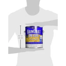 Wolman By Rust-Oleum 288339 3.78 Litre Rain Coat Clear Sealer image 3