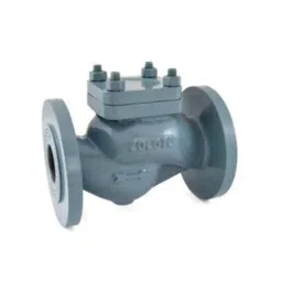 Zoloto 65mm Cast Iron Straight Pattern Flanged Horizontal Lift Check Valve, 1067-picture-41