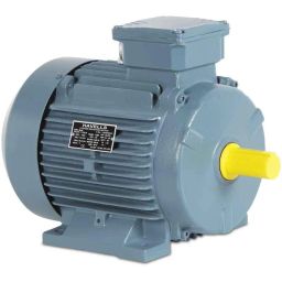 Havells Premium 75HP Three Phase Squirrel Cage Foot Mounted AC Induction Motor, MHCPTUS80055-picture-5