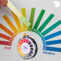 Ampereus 5m 0-14 pH Tester Litmus Paper Roll for Water &a; Soil Testing image 2