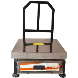 Sensotech 200kg Steel Platform Silver Industrial Weighing Scale, SSPF-200-picture-17