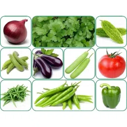 Aero Seeds 150g 10 Varieties Vegetable Seeds, Aero-Veg-10-image-47