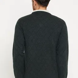 duke Men Self Design V Neck Dark Green Sweater image 2