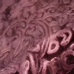 wear me Floral Double Mink Blanket for Heavy Winter image 2