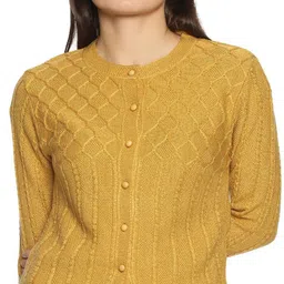 clapton Women Self Design Round Neck Gold Sweater-picture-12