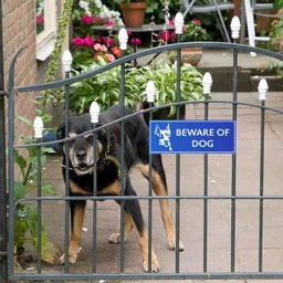 walldesign Beware of Dog Caution Sign Board 14 In x 5.3 In For Gates Compounds Doors 5mm Emergency Sign image 2