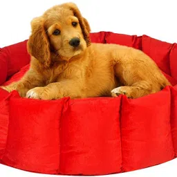 heaven luxurious Reversible Dual Soft Luxury Sofa PET Bed for Dog CAT Puppy Rabbit Grey 4XL Pet Bed-picture-16