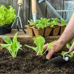 kaka fertlizer Vermicompost for Plants Complete Plant Food Manure For Garden Manure image 4