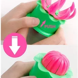 goldfinch Dumpling Press image 5