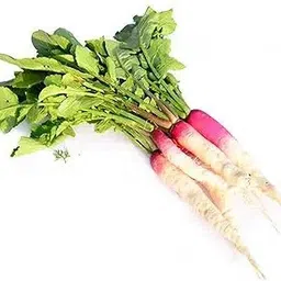 lpr MULI ,WHITE RADISH Seed-picture-34