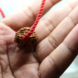 hukbg 5 Mukhi 100% Original Nepali Rudraksha with Red Thread Wood Pendant image 4