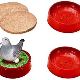 g p s Pigeon Egg Bowl + Nest Pad - Set of 3 Piece, Size: (24X6.5 cm) - Red Color Bird House-picture-11