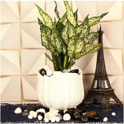 gobipot Ceramic Vase image 2